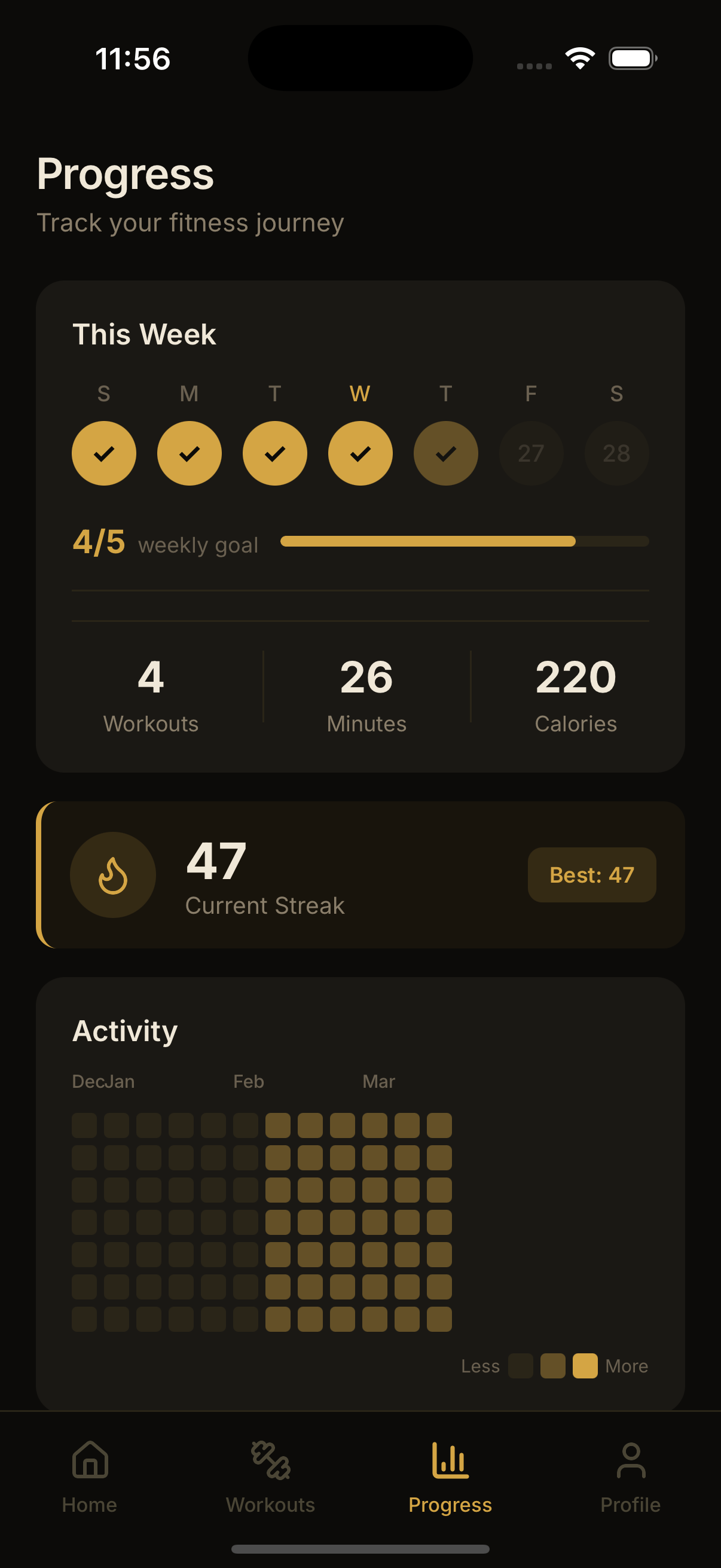 FitStreak progress screen with weekly goals, activity heatmap, and 47-day streak